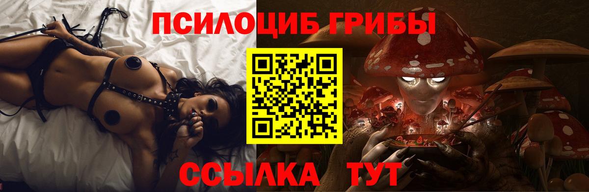 Галлюциногенные грибы Psilocybe Каменск-Уральский