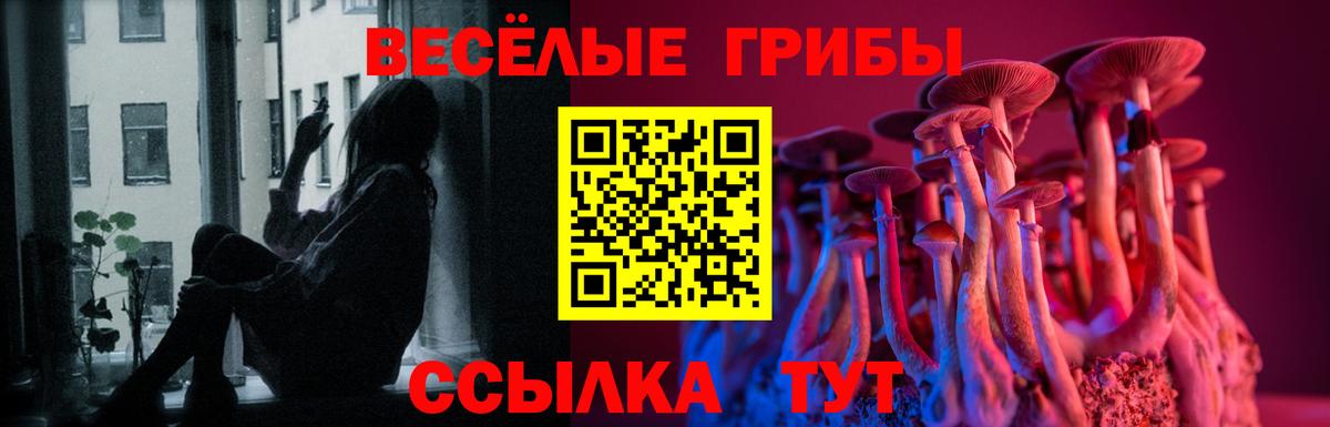 Псилоцибиновые грибы мицелий  Вход с VPN  Каменск-Уральский  Галлюциногенные грибы Cubensis 